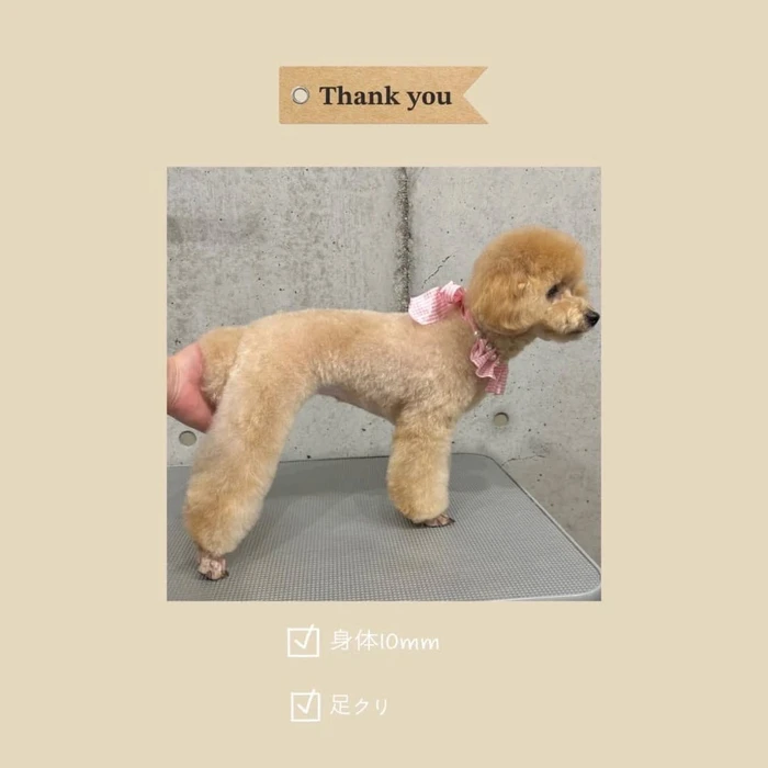 画像266