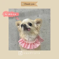 画像279