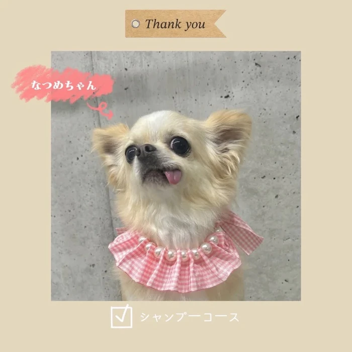 画像279