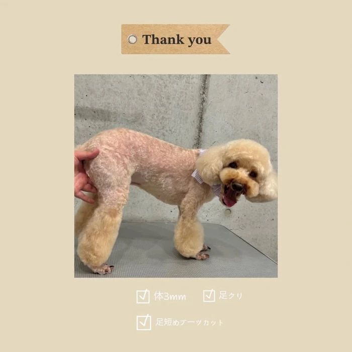 画像286