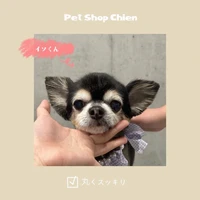 画像293