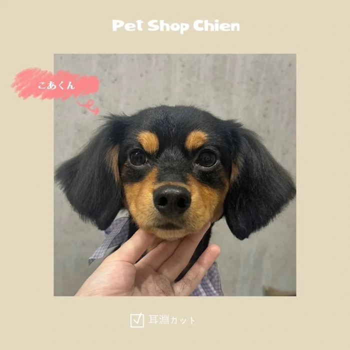 画像297