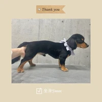 画像298