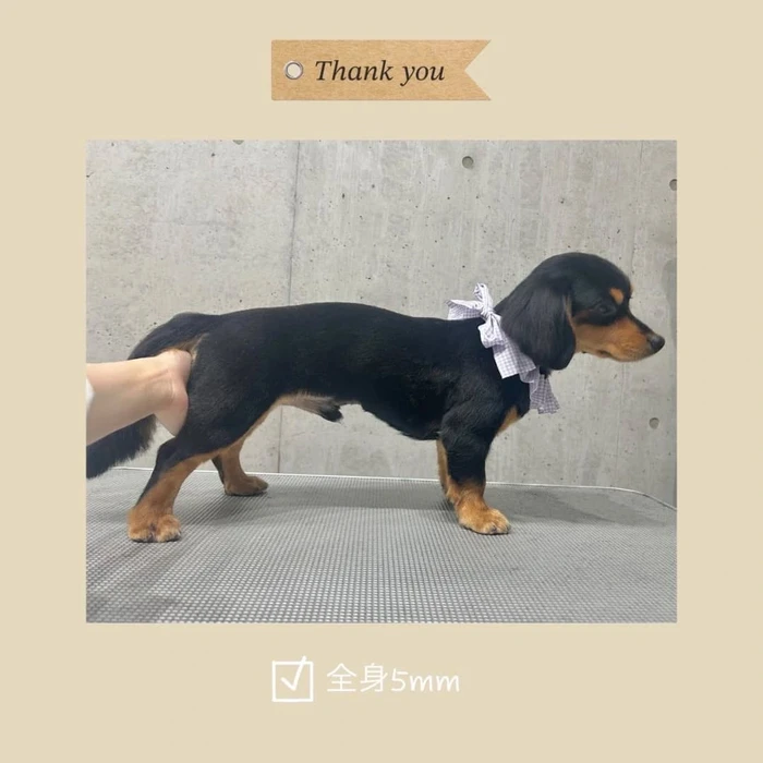 画像298