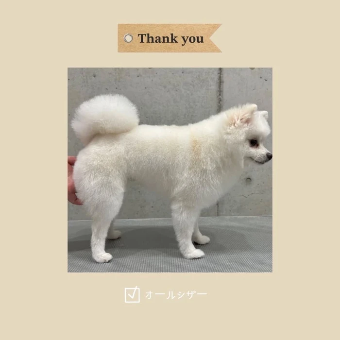 画像306