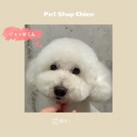 画像313