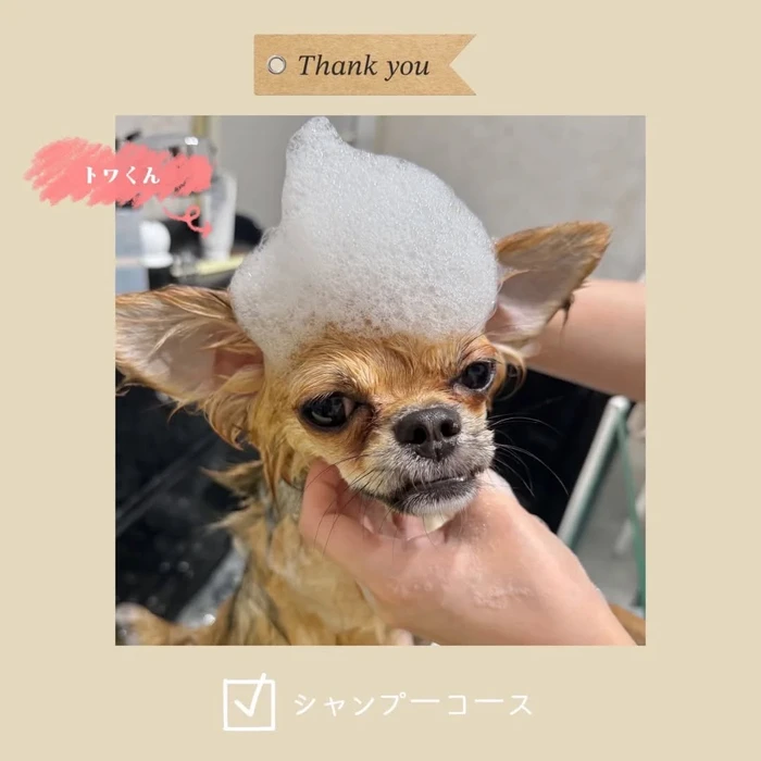 画像321