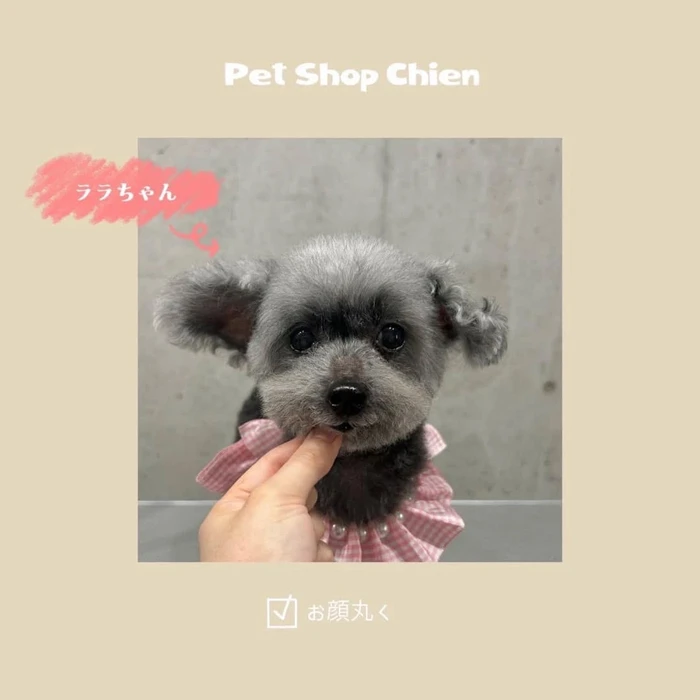 画像329