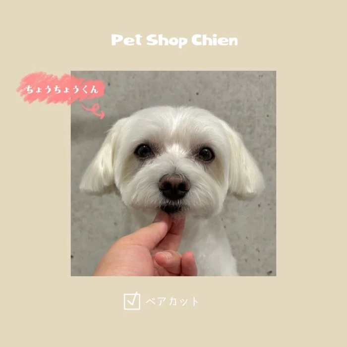 画像333