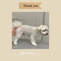 画像334
