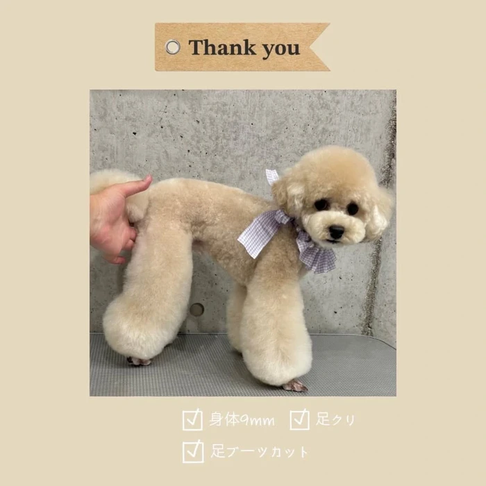 画像338