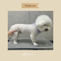 画像346