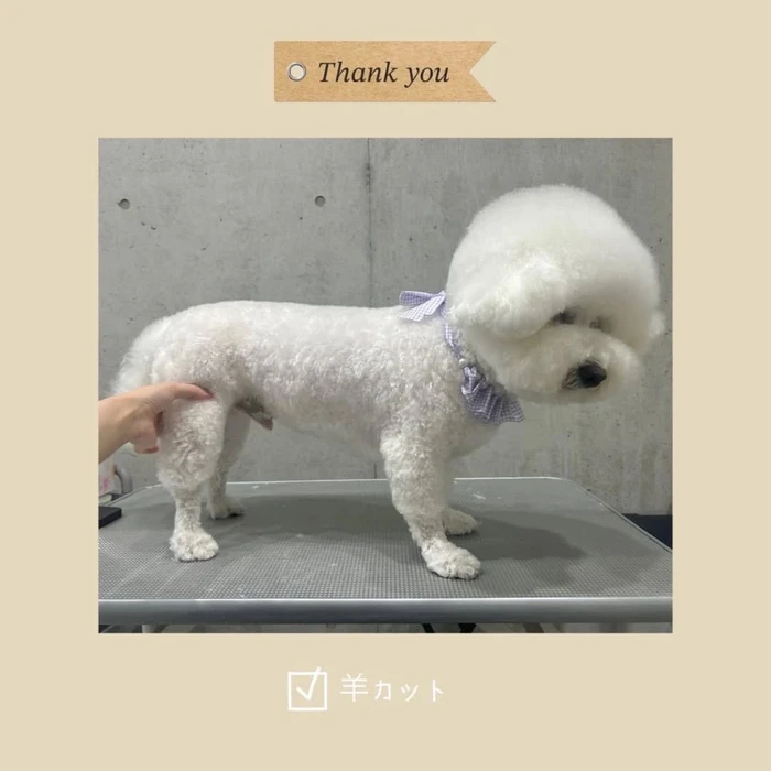 画像346