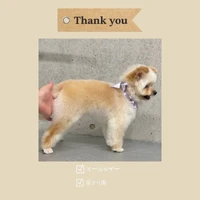 画像350