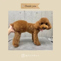 画像358