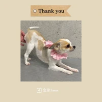 画像362