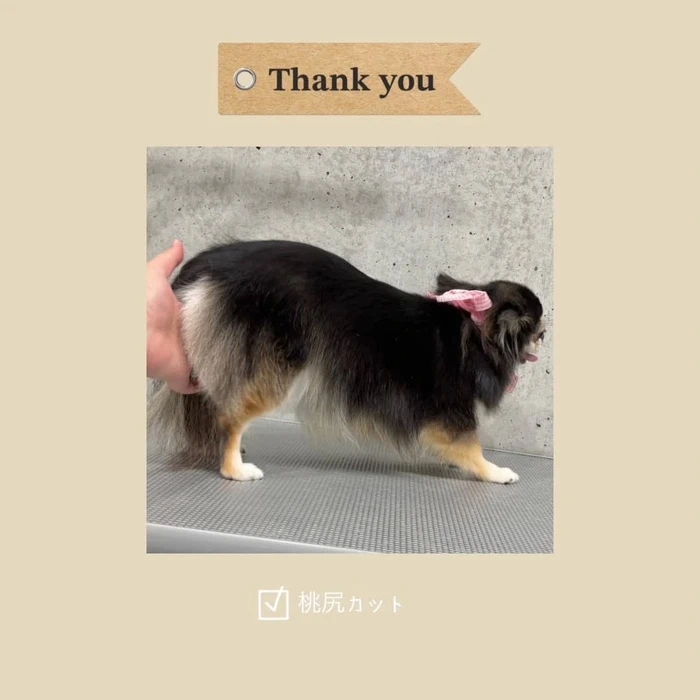 画像370