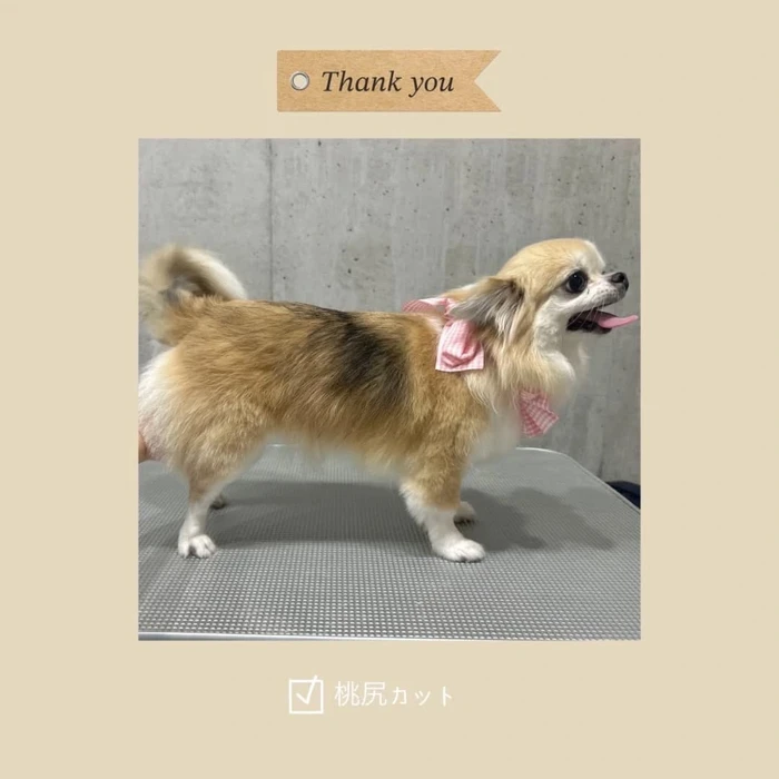 画像374