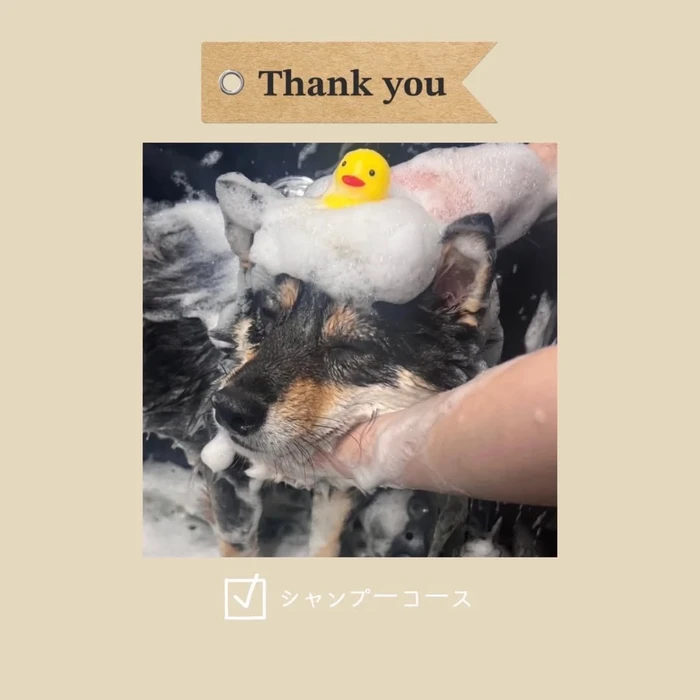 画像381