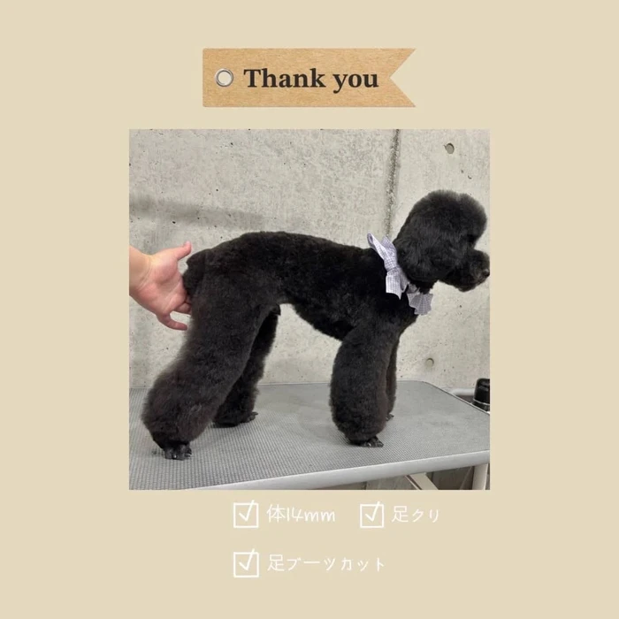 画像388