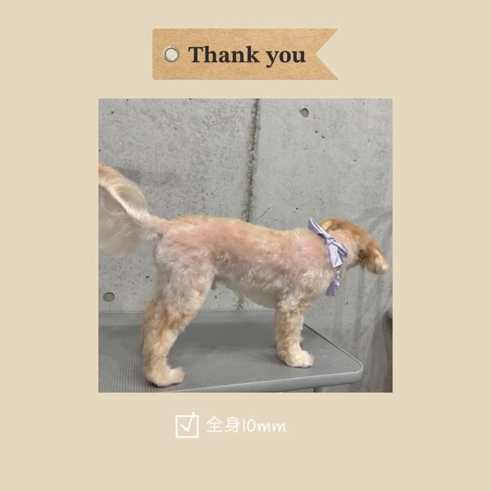 画像392