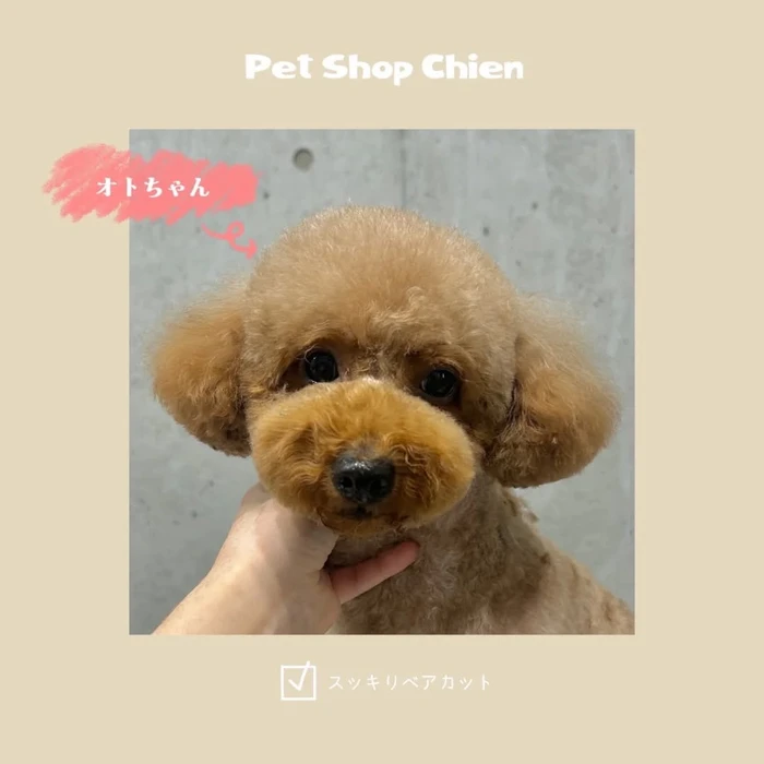 画像399