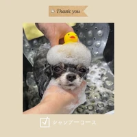 画像403