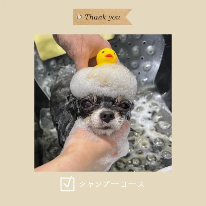 画像403