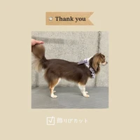 画像424