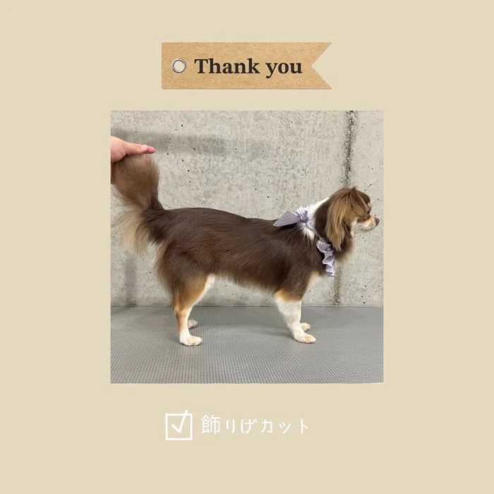 画像424