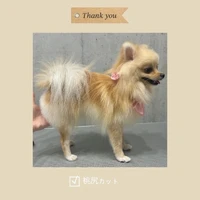 画像434