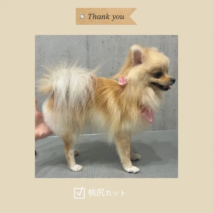 画像434