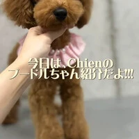 画像445