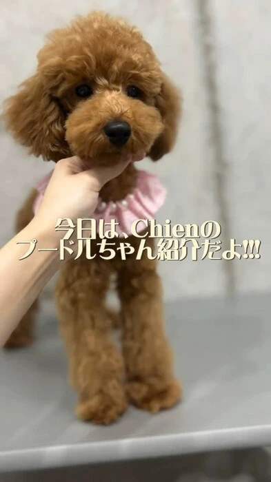 画像445
