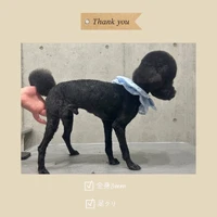画像453