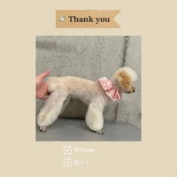画像485