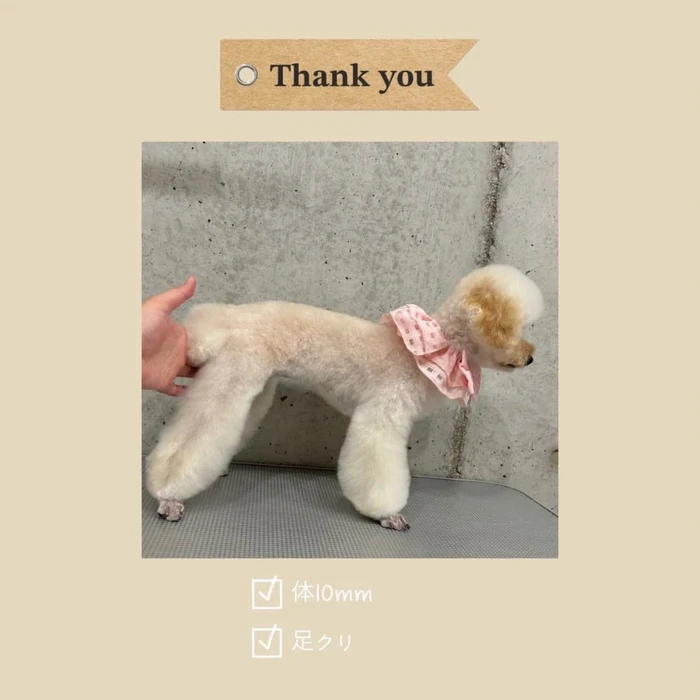画像485