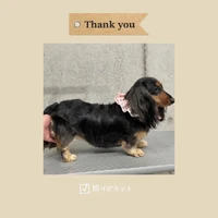 画像496