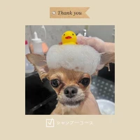 画像499