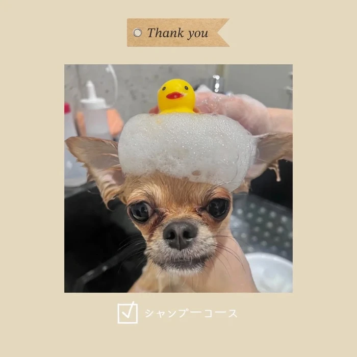 画像499