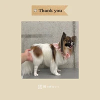 画像519