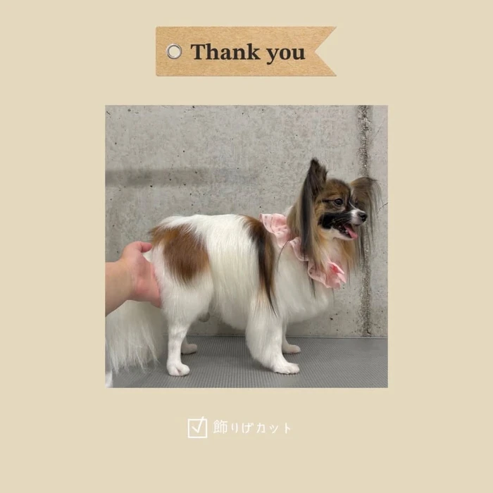 画像519