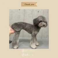 画像535