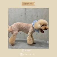画像568