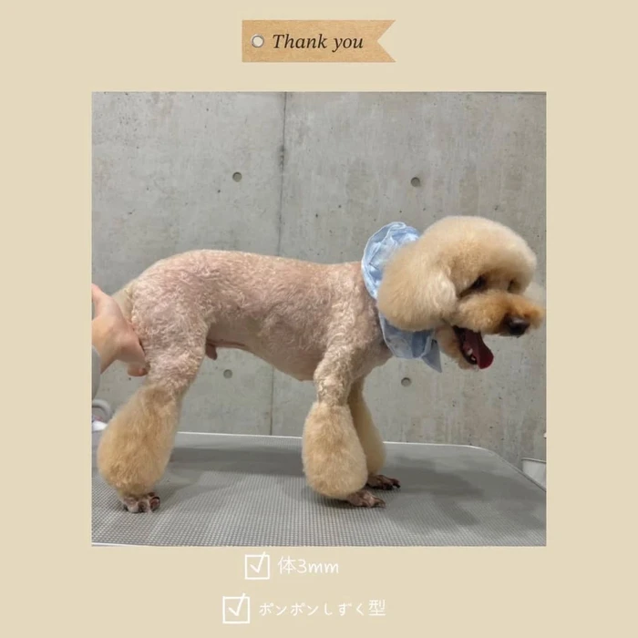 画像568