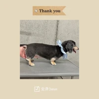 画像569