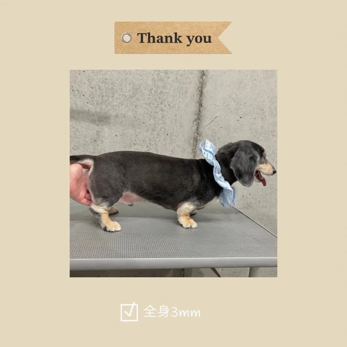 画像569