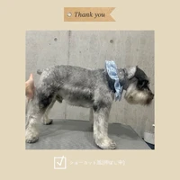 画像585
