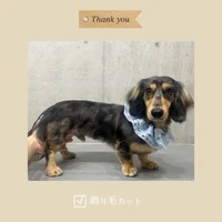 画像589
