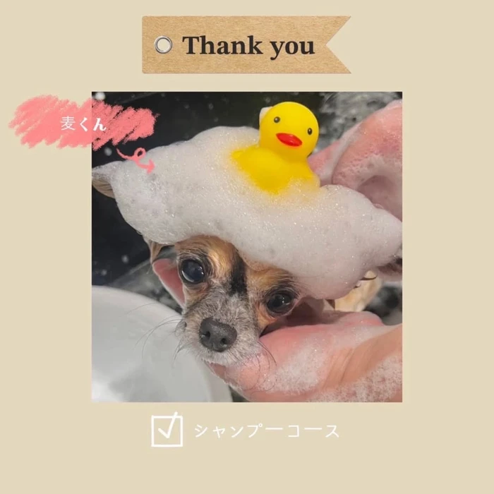 画像595